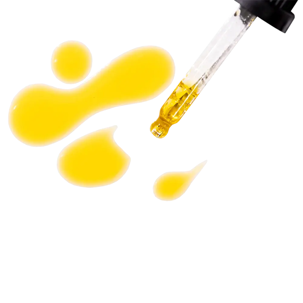 Hydration+ Certified Organic Rosehip Oil 20ml - Essano Singapore-Texture